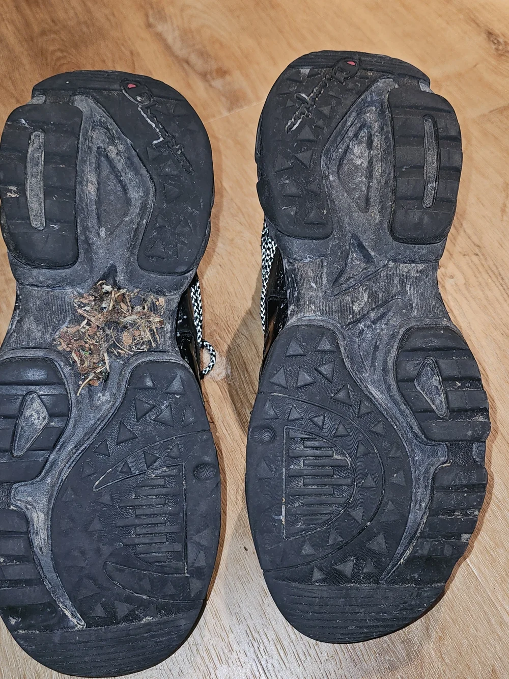 Champion Black Low-Top Chunky Sneakers with Black/White Laces - Picture 6 of 6